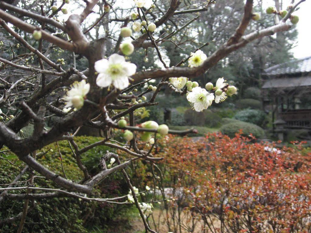 Gosho Nishi Kyoto Heian Hotel Eksteriør bilde